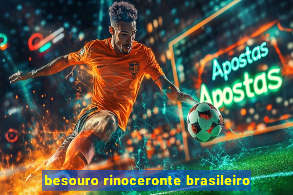 besouro rinoceronte brasileiro